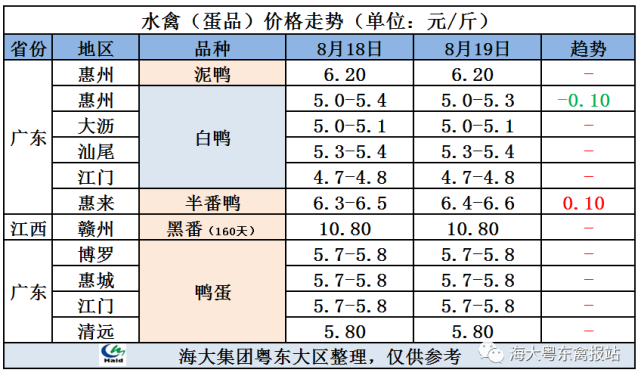 鹅宝市场价多少钱一克图片