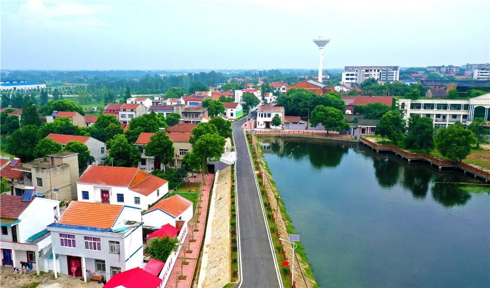 每日小康村湖北应城市四里棚街道栗树村魅力栗树的幸福事业