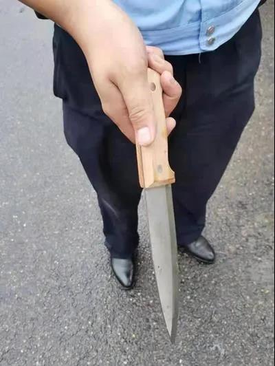 洛阳栾川一男子手持30公分尖刀当街逞狂,交警一个抱摔将其制服!