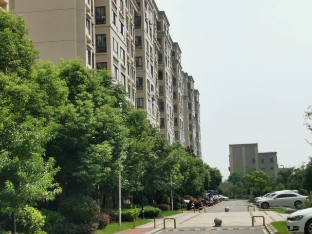 禄口街道|禄口|疫情防控|江宁区
