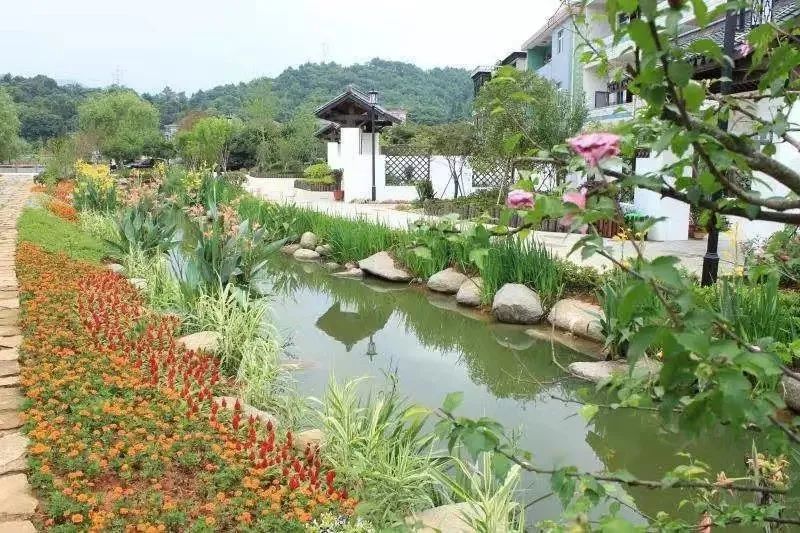 无限发展",引进水生植物园项目,推进集知识性,趣味性,科学性,景观性