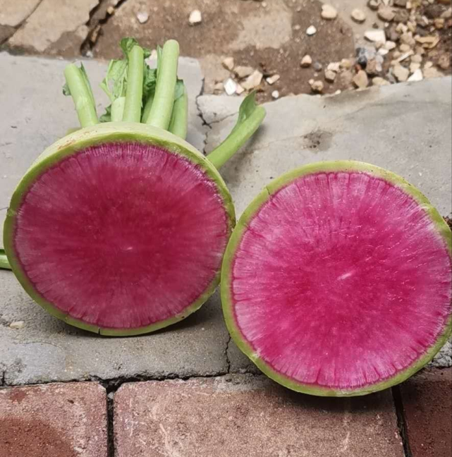 红心绿皮口感好这款心里美萝卜不辣不苦很好吃