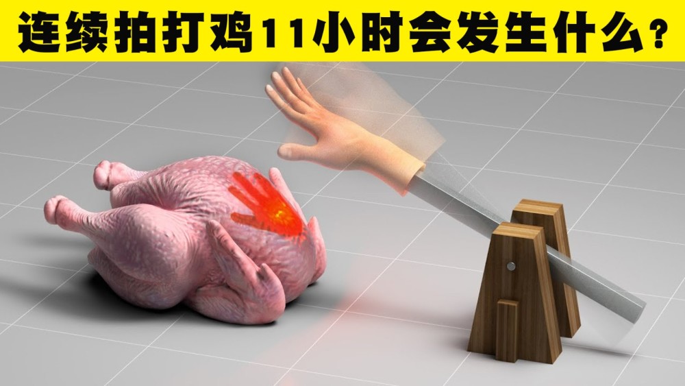 如果你连续用巴掌打鸡11个小时会发生什么