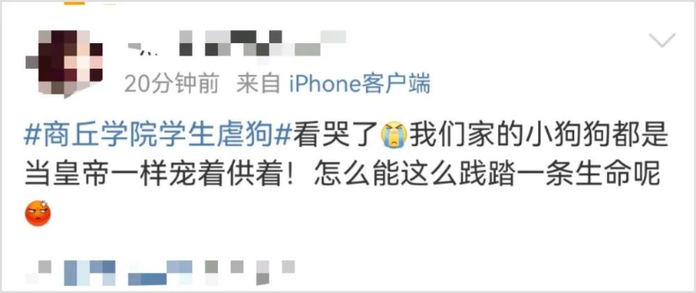 洗衣机柯基找到了吗在哪里疑商丘学院学生虐狗柯基现在怎么样了