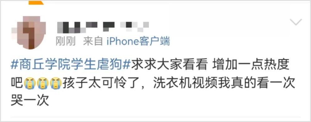 洗衣机柯基找到了吗在哪里疑商丘学院学生虐狗柯基现在怎么样了