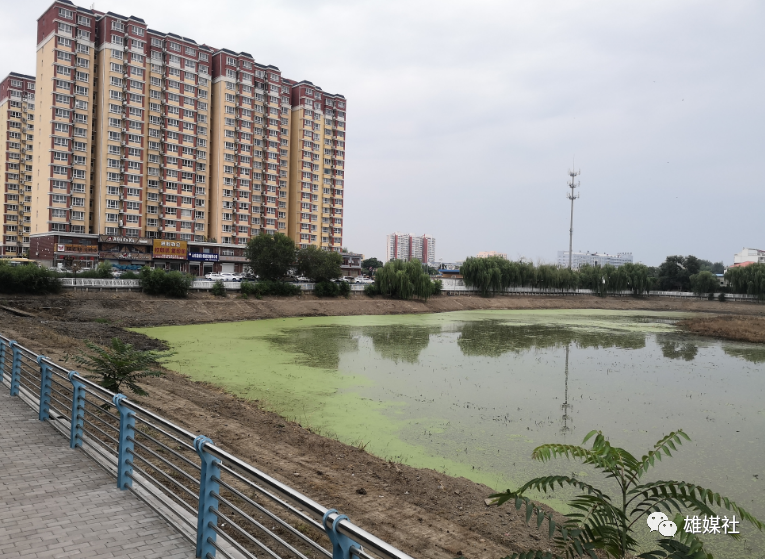 雄縣溫泉湖開始清淤改造