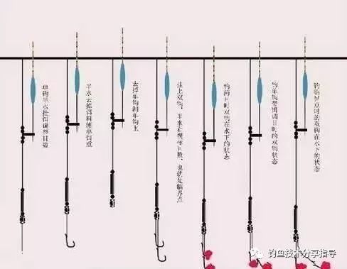 还在学调4钓2调5钓3一次性教会你调漂一直不难