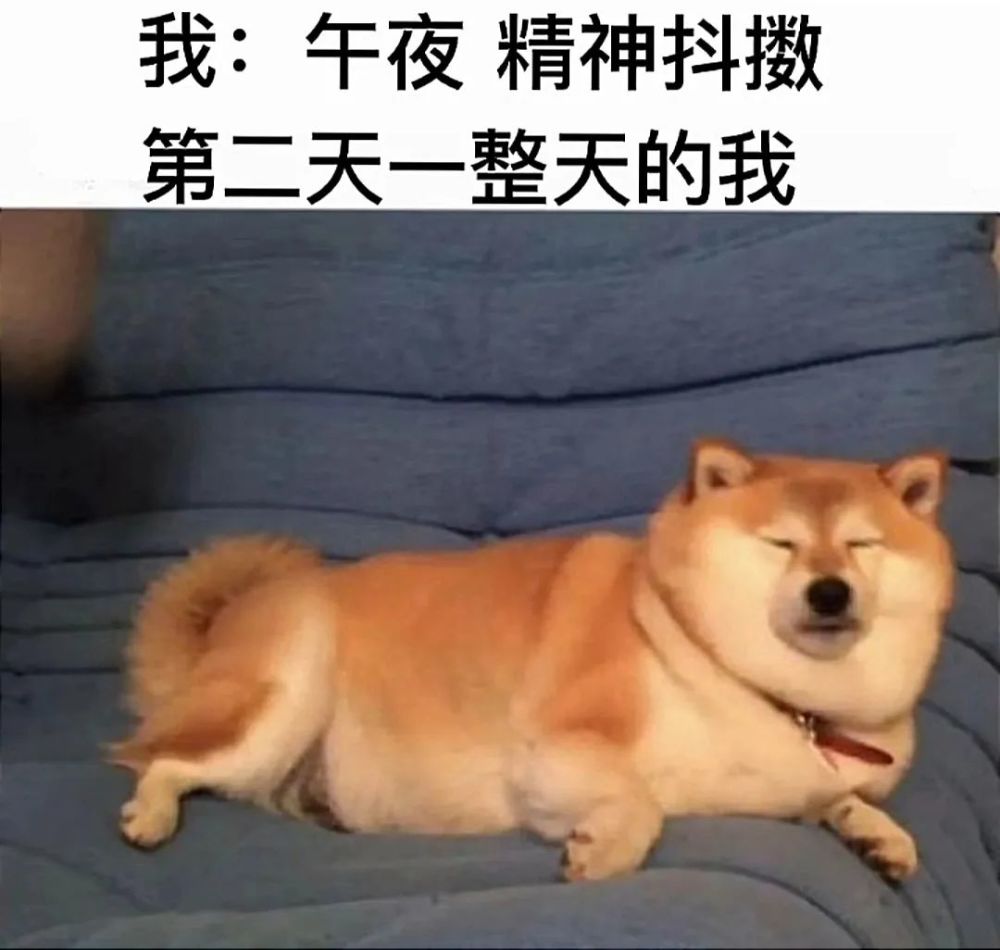 一到午夜就精神抖擞熬夜,但第二天白天一整天的我.