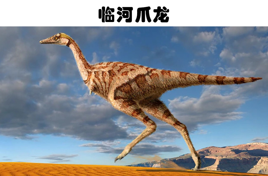 已经被科学家发现的7个拥有奇怪特征的恐龙