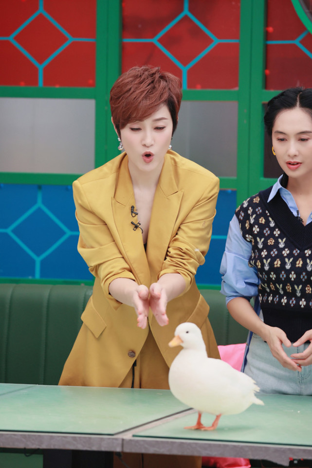 这几年陈法蓉大有往内地发展的迹象,频繁亮相各大综艺节目,确实作为