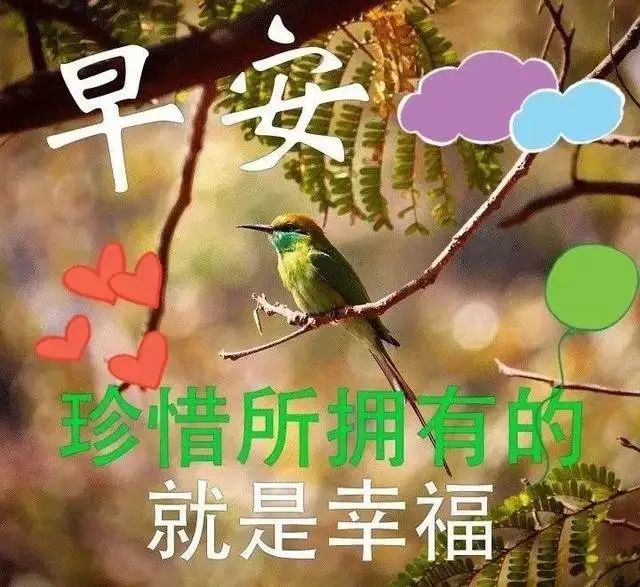 早晨好溫馨問候祝福語表情圖片帶字溫馨溫暖祝福朋友早上好問候圖片