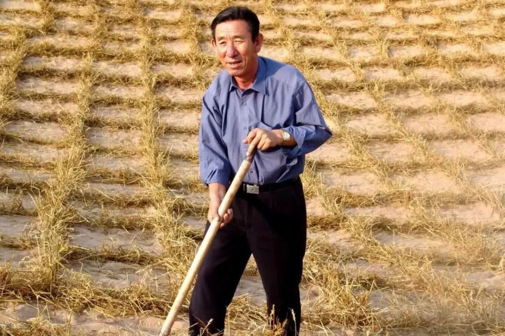 未来讲堂|王有德——与沙漠较劲的治沙人