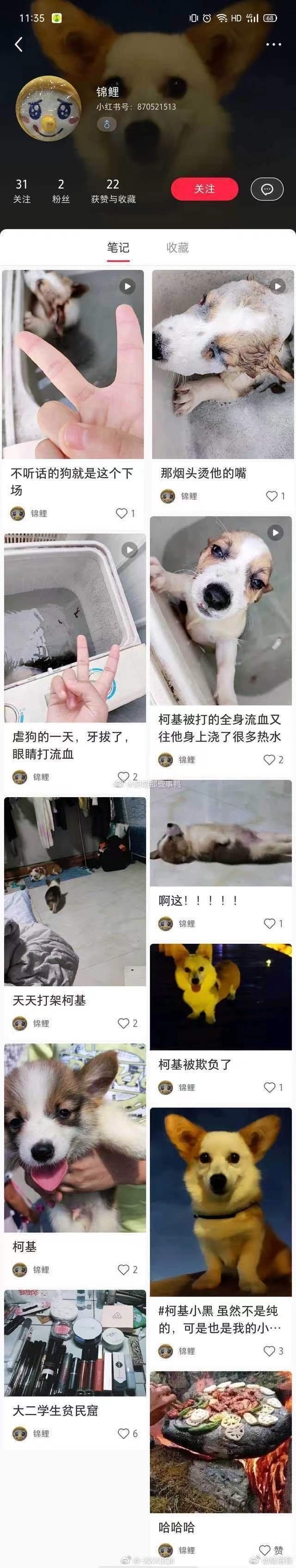 网传有人用洗衣机虐狗,账号曾定位河南一高校,回应:已排除事发地在