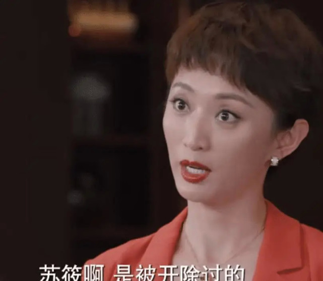 《理想之城》:苏筱被开除后找到新工作,第一天就把老板打了