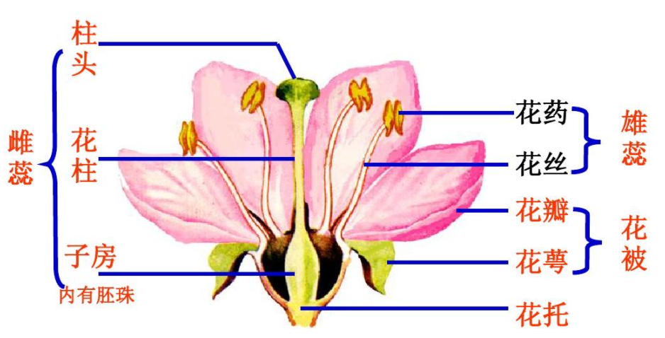 为什么热牛奶有奶皮饭菜凉了再放冰箱否则冰箱会坏