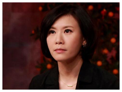 这6位主持人中谁最惨呢?一些网友觉得是45岁的房海燕.