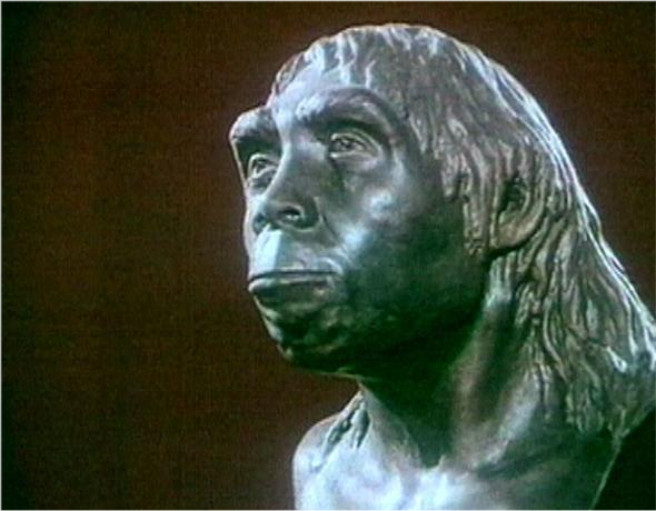 北京猿人头盖骨为什么那么重要