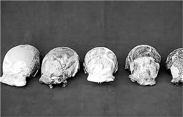 现在分子生物学的研究表明,北京人并不是现代中国人的祖先.