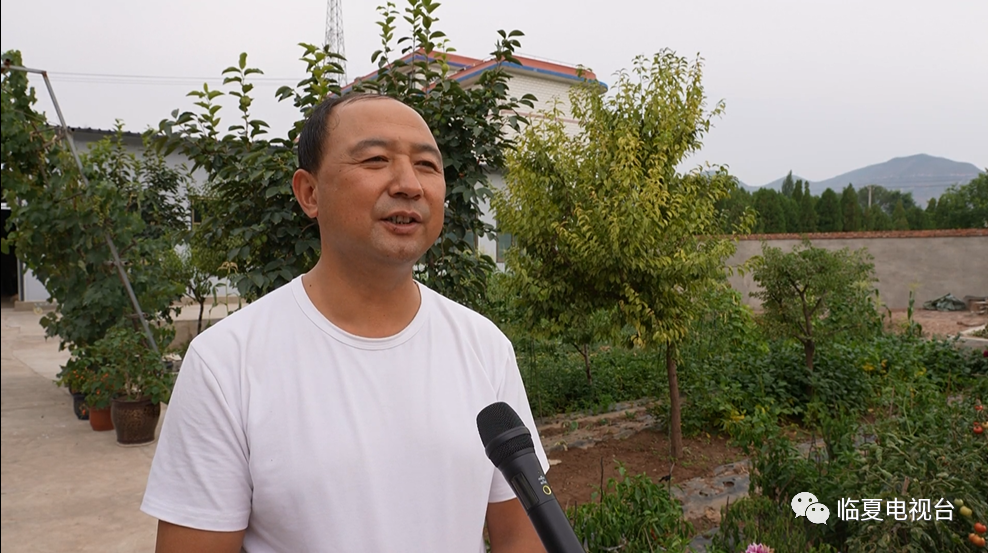 永靖县枣林深处的蜜蜜