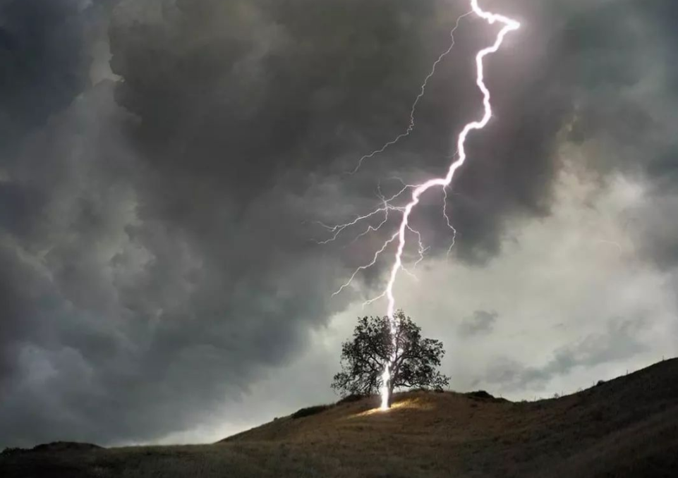 2021年大事怪事多550只羊吃草时被雷劈死居民此前没听过