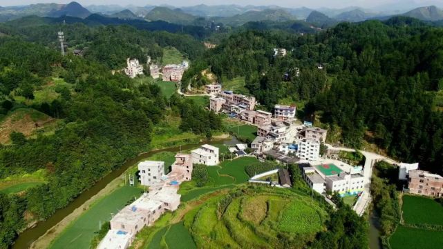 三都县周覃镇三愿村党支部书记 韦天创:在2016年到2017年没有产业