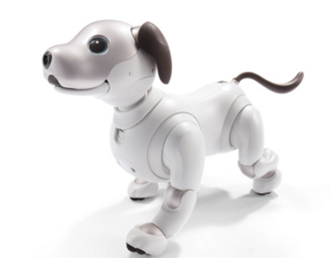 仅仅30分钟就售罄:索尼aibo机器狗卷土重来