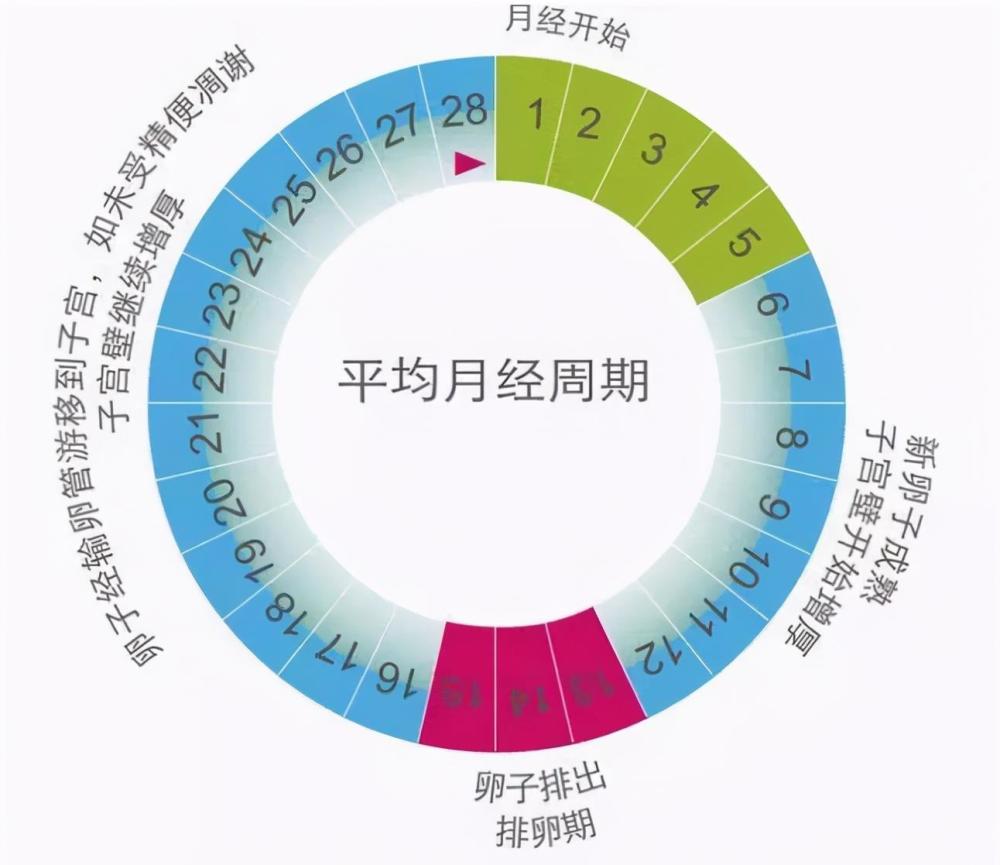 月经情况"暗示"女性生育力?生育力强的女性,经期有这几种表现