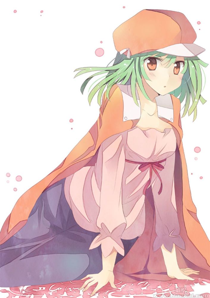 物语系列千石抚子