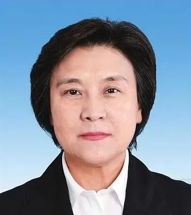 布小林任全国人大环资委副主任委员