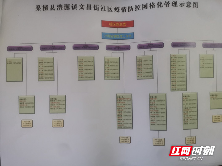挂图作战桑植县疫情防控实行网格管理