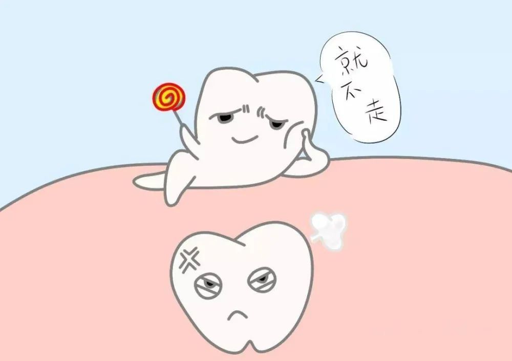 拥有双排牙就拥有了双份快乐