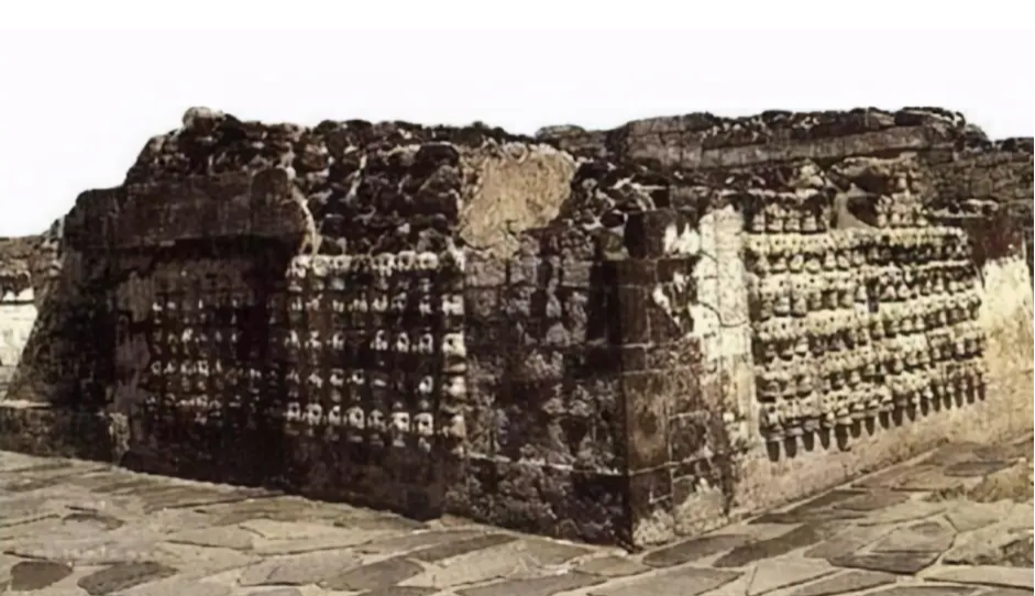 白起坑杀40万赵军之谜被揭开专家打开遗址发现了蹊跷