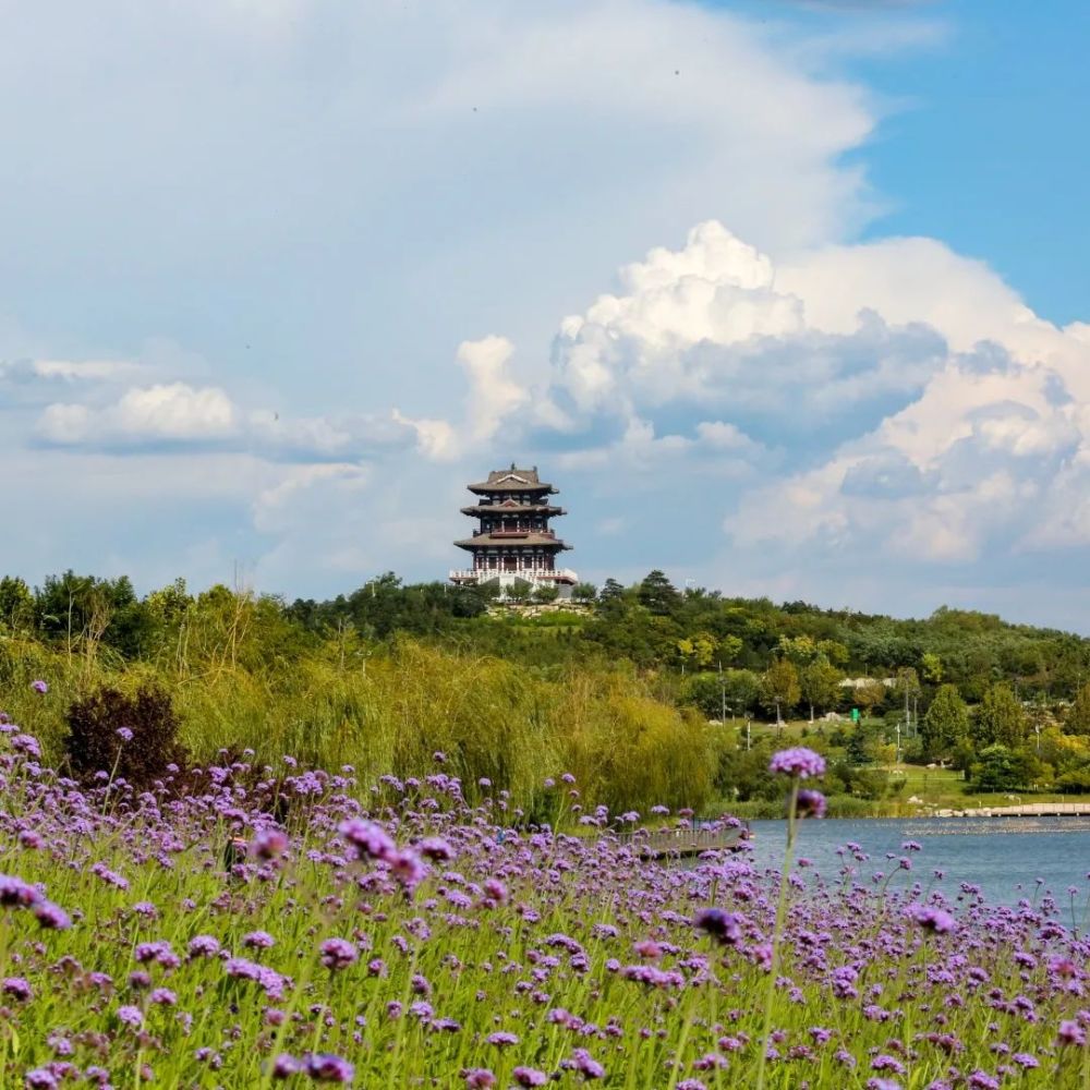 故事里自有风景,风景里蕴藏人生,"宁静致远"四个字都不用p,全在图里!