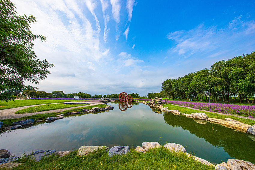 北京紫谷伊甸园:200亩秋花把秋天变的绚烂多姿_腾讯新闻