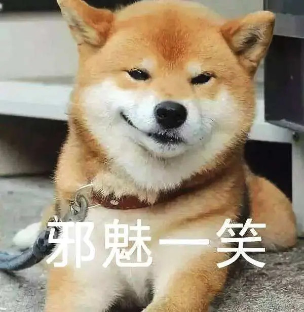 沙雕柴犬表情包柴柴才不在乎呢