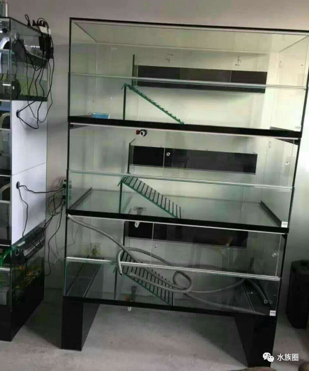 龙缸,柜缸,生态缸,繁殖缸,中式,欧式,明清雕刻等等款式的底柜制作鱼缸