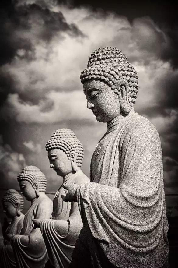 佛说,人生有八苦:生,老,病,死,怨憎会,爱别离,求不得,五阴炽盛.