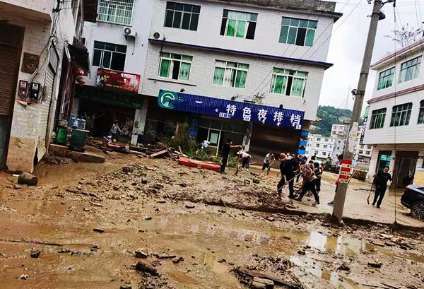 亲爱的丹桂大灾过后你依然美丽