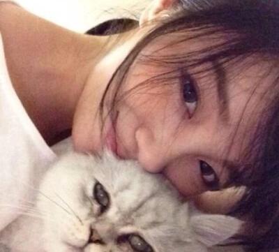 为什么女生更爱养猫不养狗这几点大概是原因