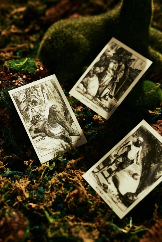 新京雅集——《一千零一夜》成人版全译本礼盒装