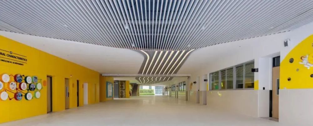 你没见过的学校走廊文化建设:创意 内涵,超多精美案例!