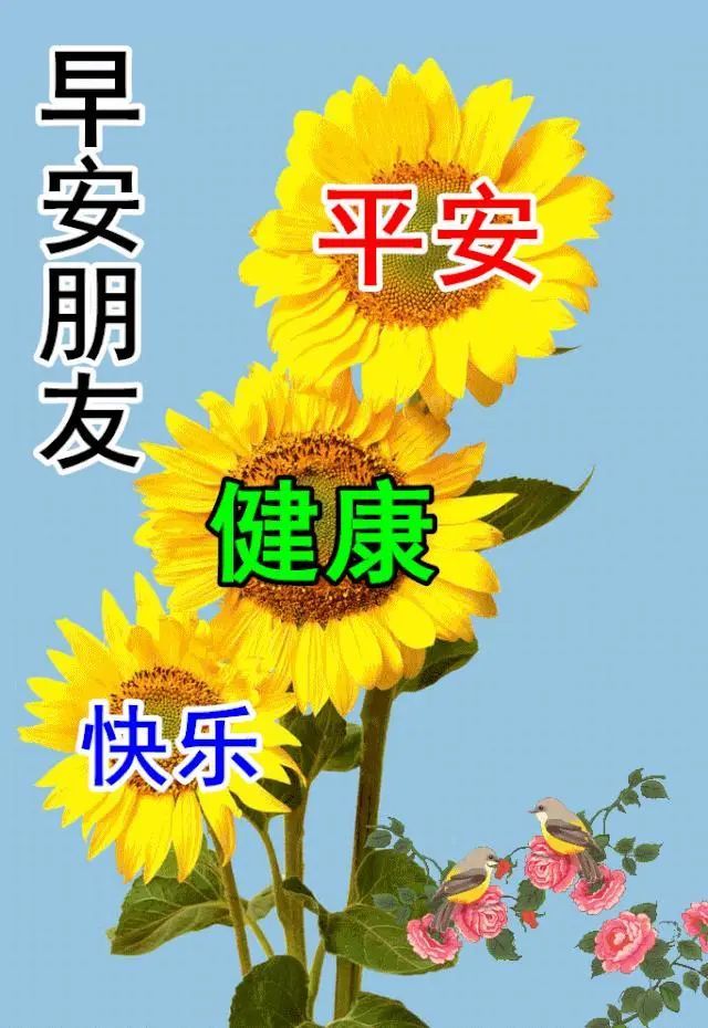 最新早上好祝福溫馨句子早上好唯美的文字祝福圖片精選