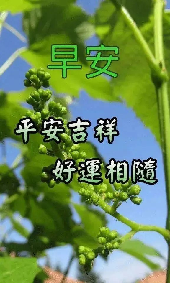 的,人生就會豁然開朗,挺不過來的,時間也會教會你怎麼與它們握手言和