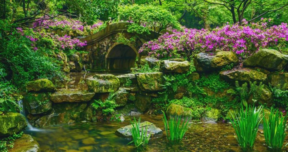 这里是长三角最美赏鹃胜地,无锡的香格里拉