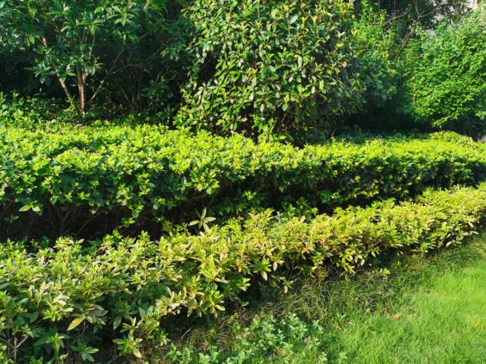 如何做才能让家庭顺风顺水呢?