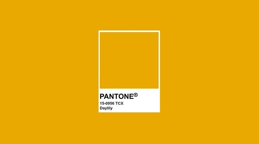 发布的颜色发布了2021秋冬十大流行色国际权威色彩机构pantone(潘通)