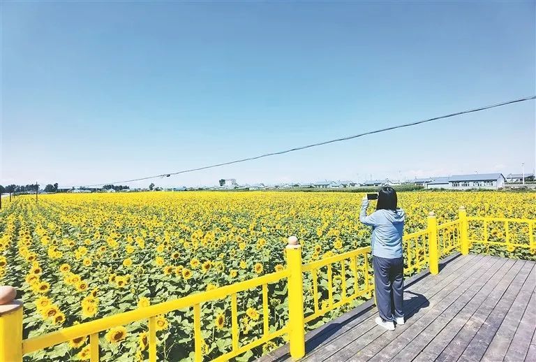 边穿过,沿着这条路,向西90公里到达黑河市区,向东45公里进入逊克县城
