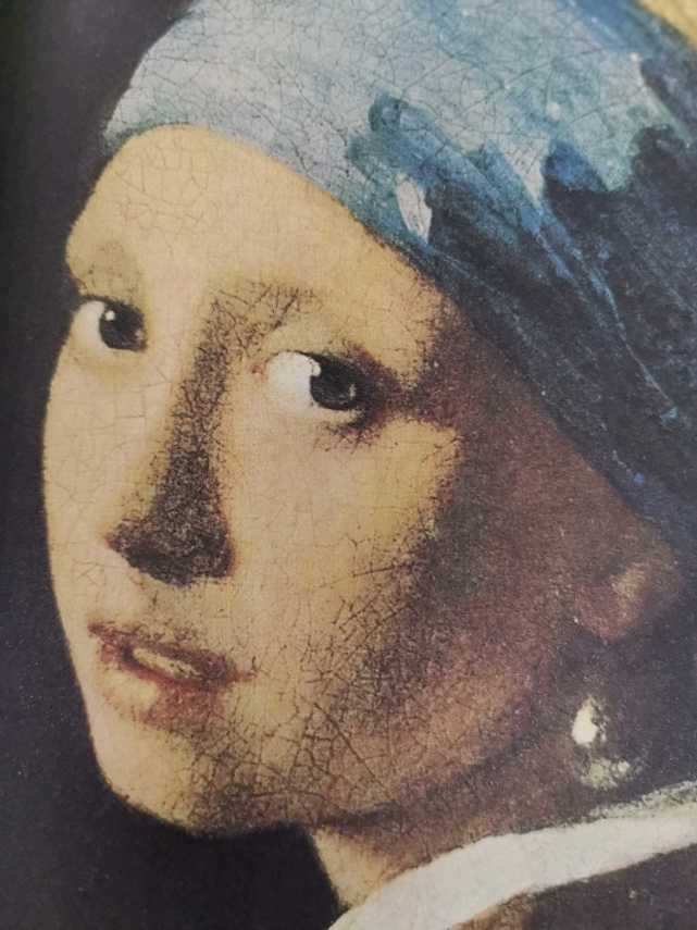 请欣赏名画戴珍珠耳环的少女让人眼睛一亮