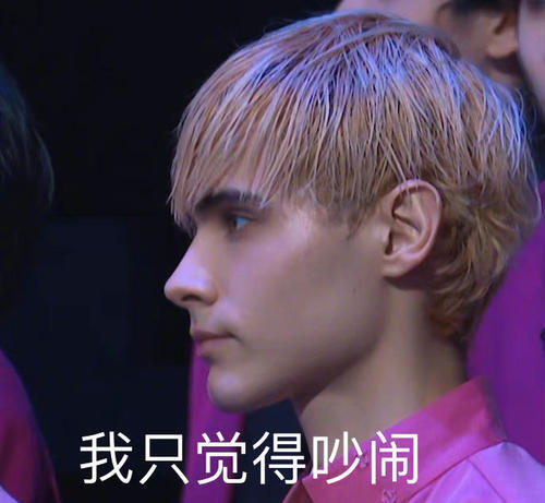 你找了很久的利路修表情包来了