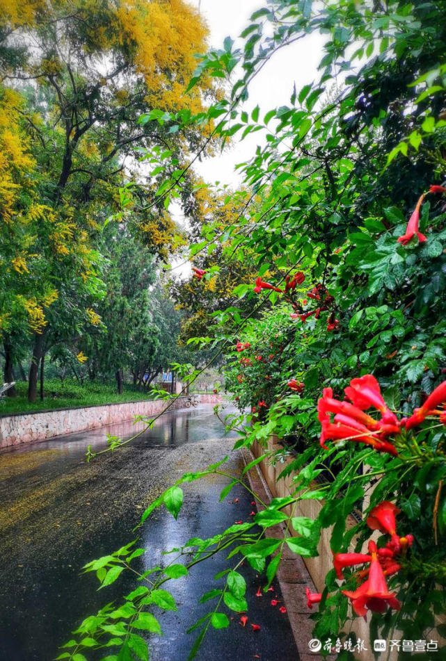齐鲁壹点情报站发来一组拍摄于济南英雄山风景区的雨中美景与大家分享